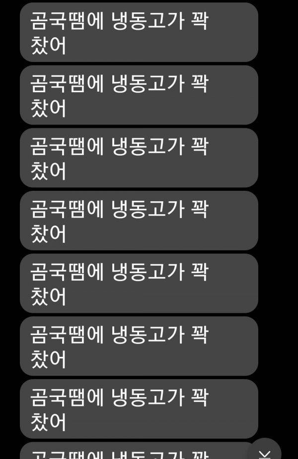본문 이미지
