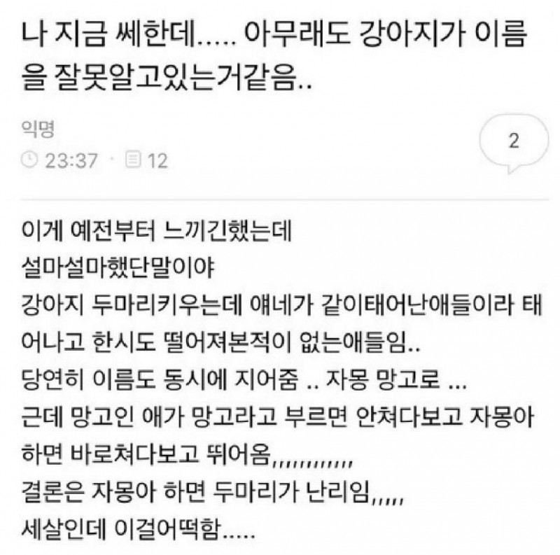 본문 이미지